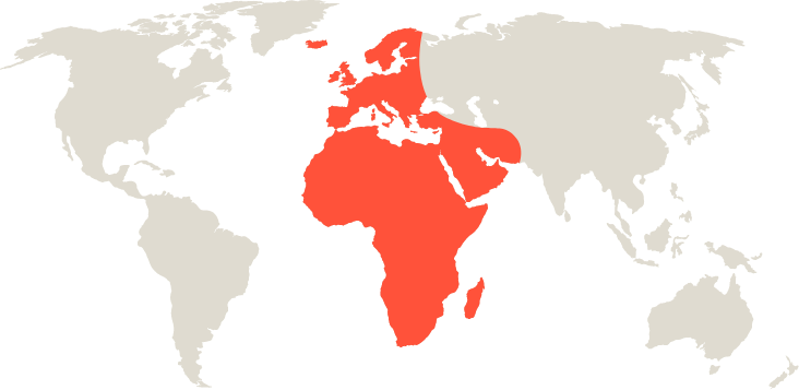 Map of the world with Europe, Middle East and Africa highlighted