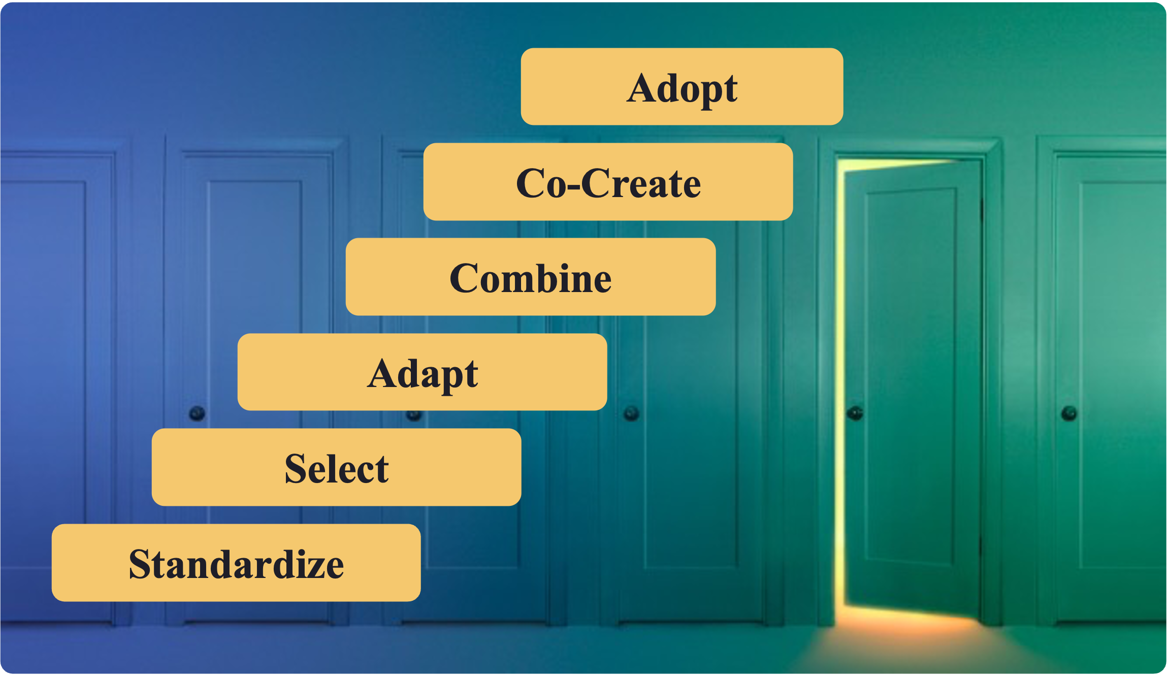 standardize, select, adapt, combine, co-create, adopt