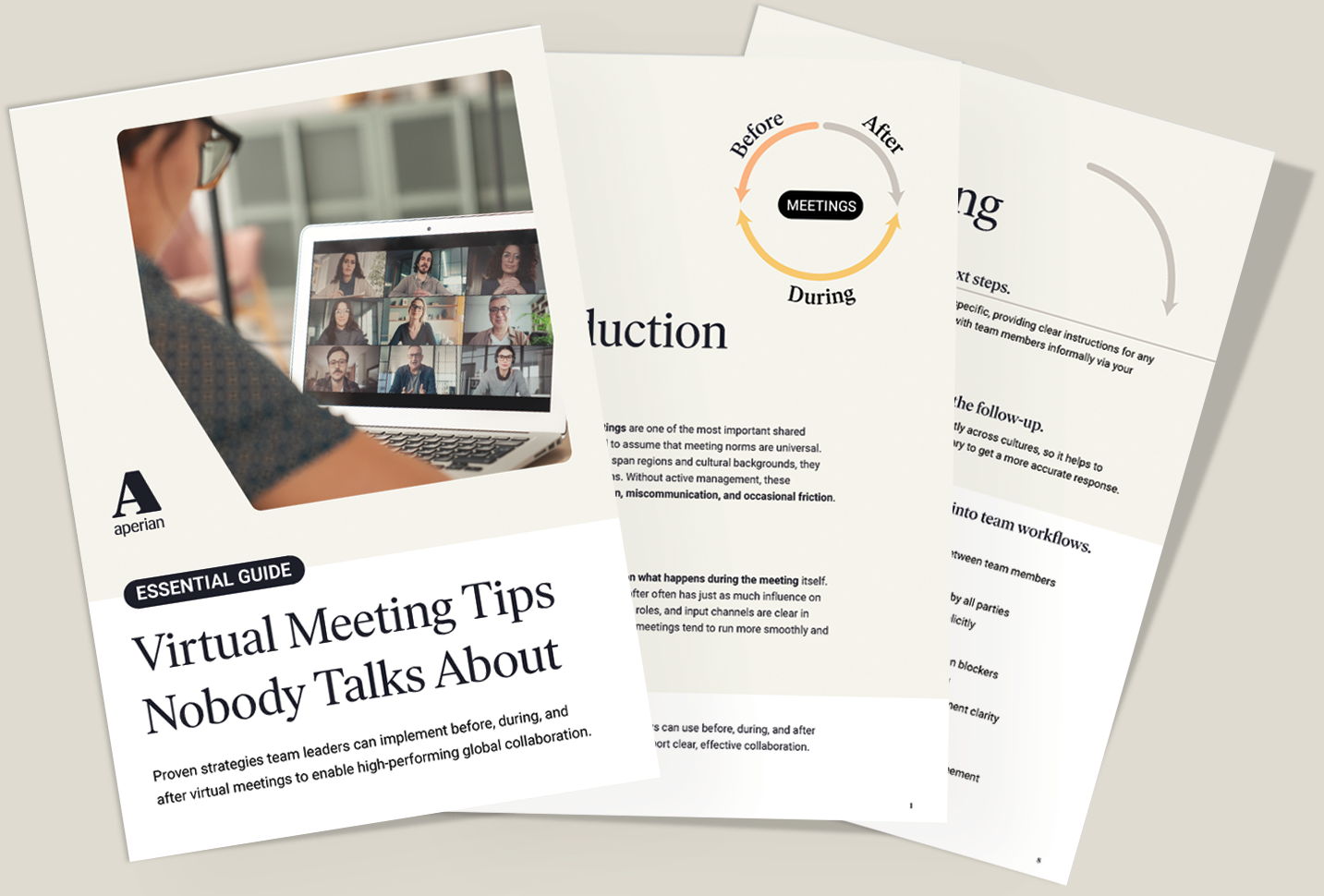 Virtual Meeting Tips Nobody Talks About preview of resource